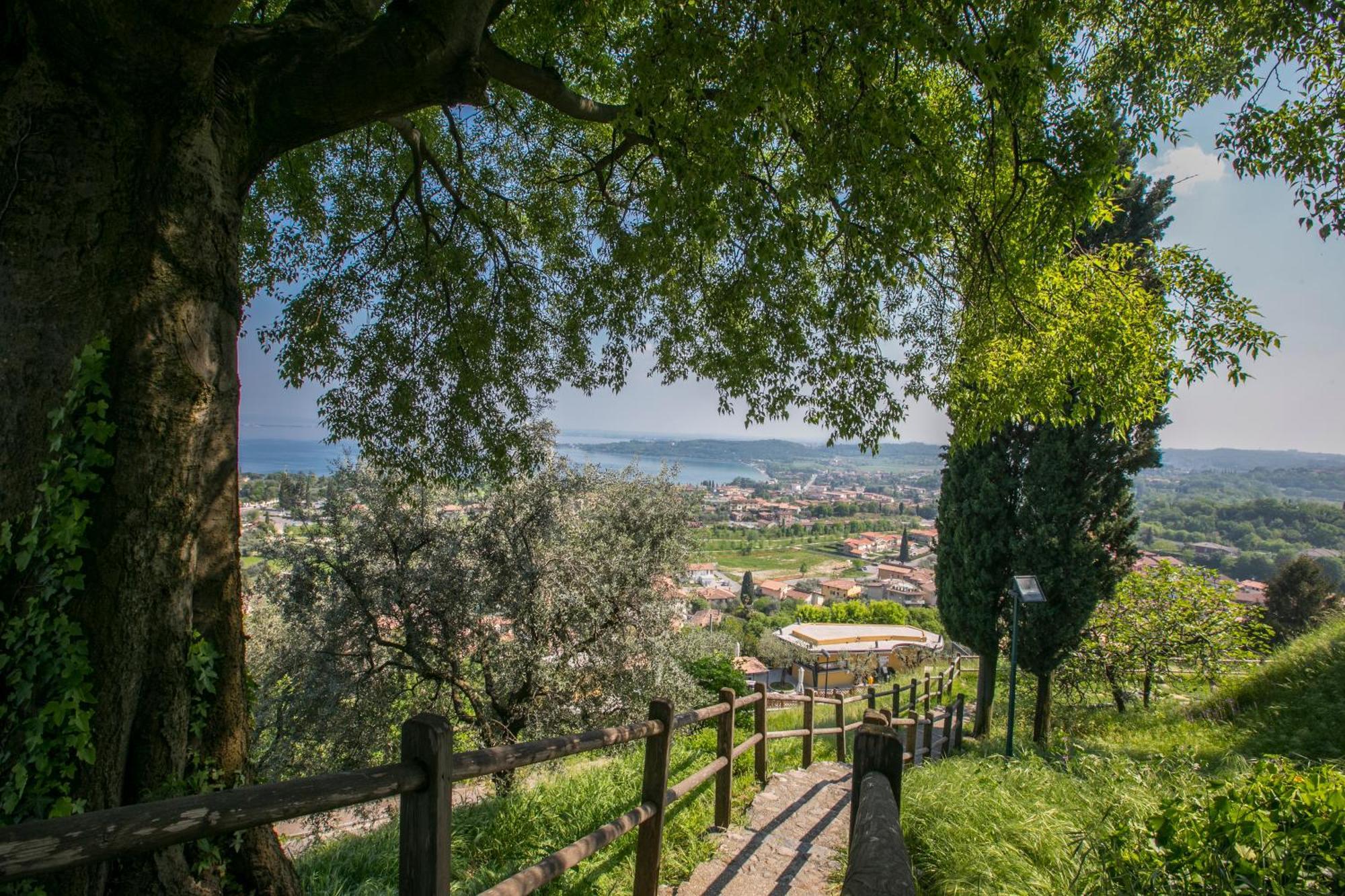 Almavite Wine Resort With Pool デセンツァーノ・デル・ガルダ エクステリア 写真