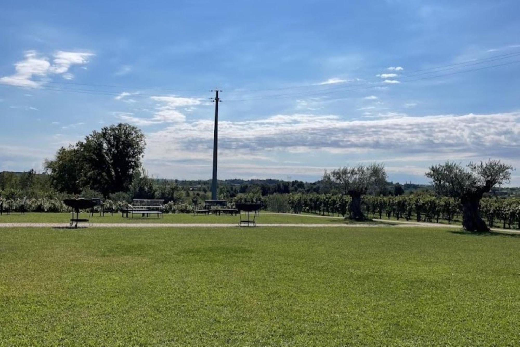 Almavite Wine Resort With Pool デセンツァーノ・デル・ガルダ エクステリア 写真